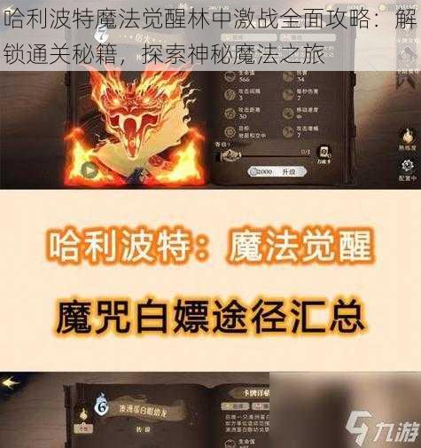 哈利波特魔法觉醒林中激战全面攻略:解锁通关秘籍,探索神秘魔法之旅