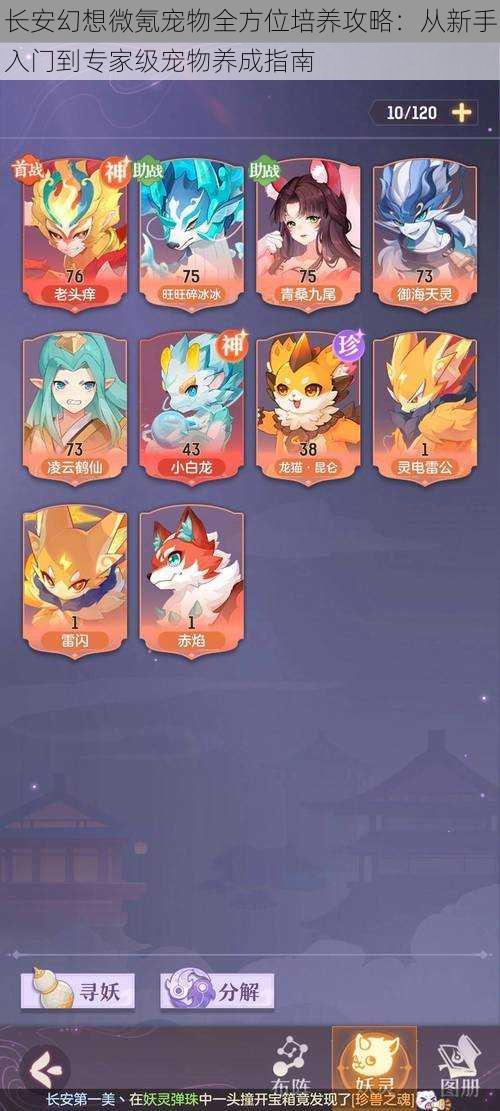 长安幻想微氪宠物全方位培养攻略:从新手入门到专家级宠物养成指南