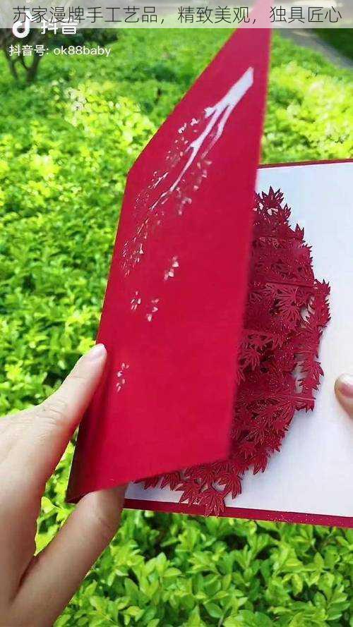 苏家漫牌手工艺品,精致美观,独具匠心