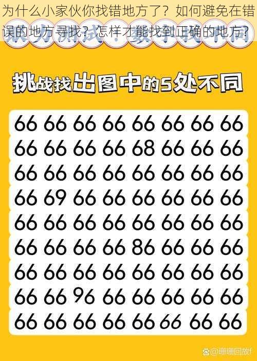 为什么小家伙你找错地方了?如何避免在错误的地方寻找?怎样才能找到正确的地方?
