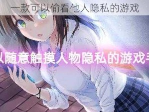 一款可以偷看他人隐私的游戏