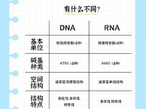 RNA与DNA配对,为什么 RNA 与 DNA 能够配对？