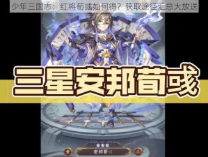 少年三国志：红将荀彧如何得？获取途径汇总大放送