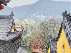 探索神秘雷音寺：神都夜行录中的强大副本