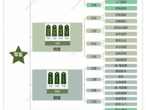 关于军衔制度与荣誉体系深度解析的资料介绍