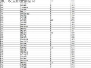 家国梦手游照片加成收益详解与玩法攻略集锦：提升照片收益的全面指南