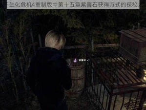 关于生化危机4重制版中第十五章紫馨石获得方式的探秘之旅