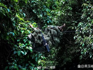 丛林战役模拟器电脑版下载与安装全攻略：体验丛林战役的游戏之旅