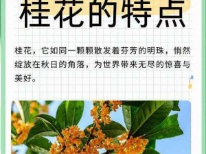 如何解决杨大壮和田桂花耕地中的问题？