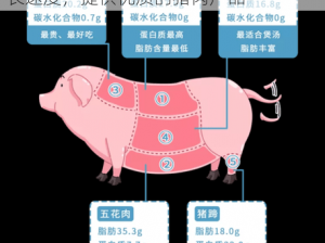 人和种猪，优秀的繁殖性能，健康的生长速度，提供优质的猪肉产品