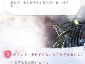 恋与制作人：许墨特别的日子，如何回复短信攻略