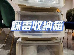 小森生活特级收纳箱免费获取攻略详解：一站式收纳秘籍助你轻松拥有全新生活空间