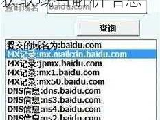 国外免费网站域名服务器查询软件：快速获取域名解析信息