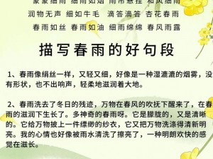 春雨绵绵，最经典的一句是什么？为什么它能打动人心？如何用这句话表达情感？