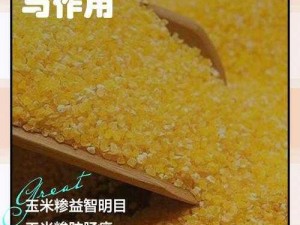 porumb 官方入口——享受高品质玉米带来的美味与健康