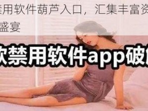 18 款禁用软件葫芦入口，汇集丰富资源，畅享视觉盛宴