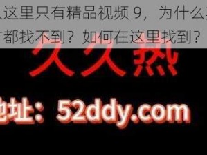 久久这里只有精品视频 9，为什么其他地方都找不到？如何在这里找到？