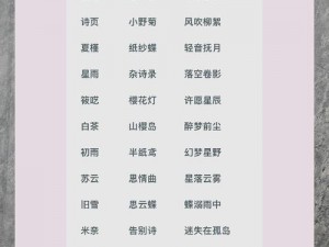 yw1168 最新网名怎么取？有哪些方法和技巧？