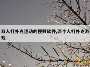 体验真实扑克运动，尽在二人扑克剧烈运动视频软件