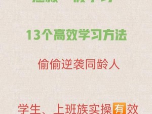 JIZZ 学生 13：一款专业的学习工具，提升学习效率