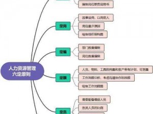 为什么人力资源公司都在探索丰沛有鱼？如何实现人力资源的优化配置？久产九人力资源有限公司为您解答