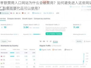 18 款禁用入口网站为什么会被禁用？如何避免进入这些网站？有哪些替代品可以使用？