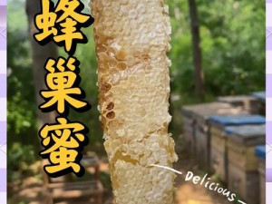 他的舌头探进蜜源毛毛虫说：这是我吃过最甜的美味——蜂蜜