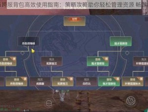 妄想山海跨服背包高效使用指南：策略攻略助你轻松管理资源 畅游四海八荒