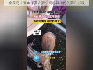 全民岛主章鱼保罗之死：揭秘其神秘的死亡过程