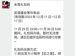 暑假来临，《忍者必须死 3》金钥匙兑换码大放送