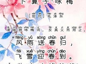 青梅不经C1VH;青梅不经 C1VH，它的滋味你可知晓？