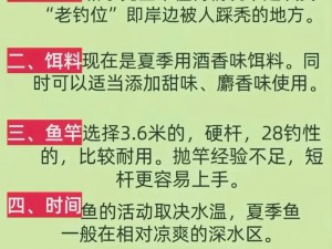 野蛮时代钓鱼技艺大解密：钓鱼技巧攻略与实战指南