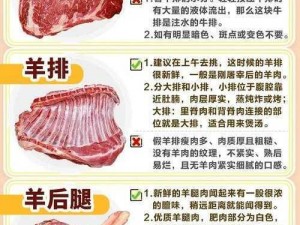 探寻肉食背后的铭文密码：探索不同肉类与铭文搭配的奥秘