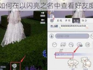 如何在以闪亮之名中查看好友度