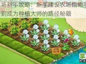 全民农场新手攻略：新手建设农场指南手册——从起步到成为种植大师的路径秘籍