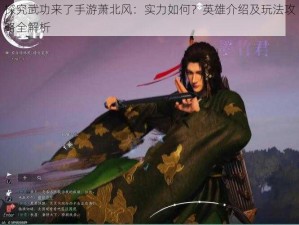 探究武功来了手游萧北风：实力如何？英雄介绍及玩法攻略全解析