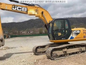 想要更多 jcb 产品介绍吗？拿你的 jcb 我来满足你