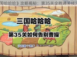 《三国哈哈哈》攻略揭秘：第35关全胜通关技巧指南