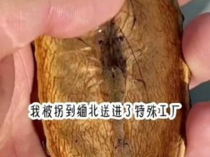 为什么-如何-怎样找到活体肉莲图片照片博物馆大全？