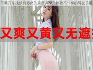 下载开车视频有疼痛的声音 APP，体验不一样的驾驶乐趣