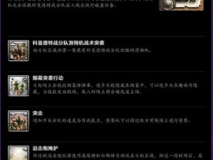 《英雄连2：玩家深度解析与游戏心得》