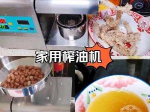 六六牌家用榨油机，让你在家就能轻松榨取新鲜食用油