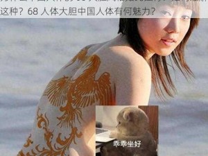 为什么中国人体的 68 大胆风格如此独特？如何理解这种？68 人体大胆中国人体有何魅力？