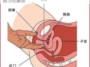 女人的身体结构是否允许进入 20 厘米？视频为你解答