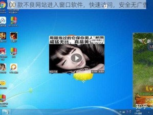 100 款不良网站进入窗口软件，快速访问，安全无广告