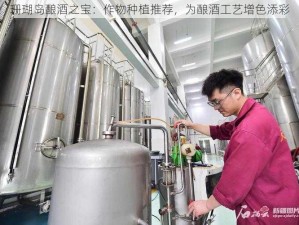 珊瑚岛酿酒之宝：作物种植推荐，为酿酒工艺增色添彩