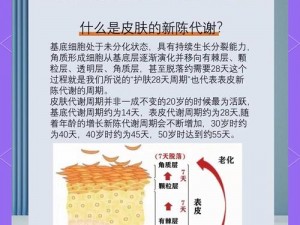 人类皮肤导入技术：探索一败涂地境况下的新突破与应对策略