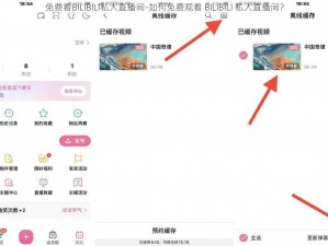 免费看BILIBILI私人直播间-如何免费观看 BILIBILI 私人直播间？