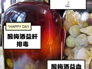 江湖悠悠酒之功效与完美制作法：探寻酒的奥秘与精髓