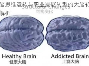 大脑思维运转与职业发展转型的大脑转转转解析